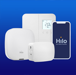 Hilo