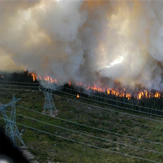 feu forêt