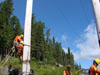 Voir l’image agrandit de Travaux 4