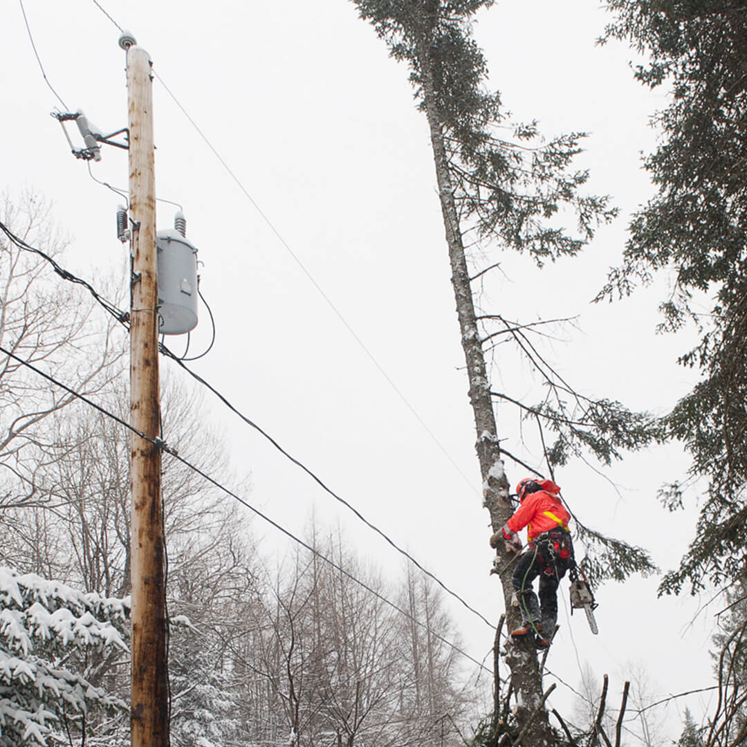 Worker in a lifting device cutting a tree branch during an ice storm
